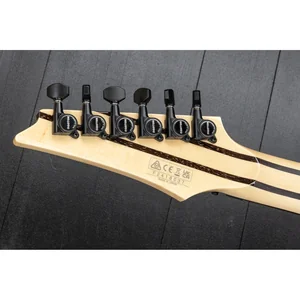Ibanez j.custom Axe Design RG8870 BSR