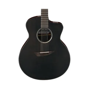 Ibanez JGM5-BSN