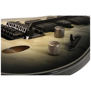 Ibanez JIVA 10-DSB