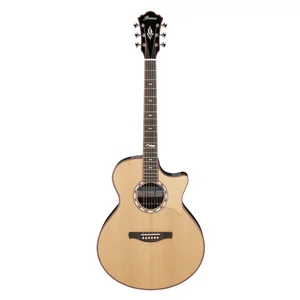 Ibanez MRC10-NT