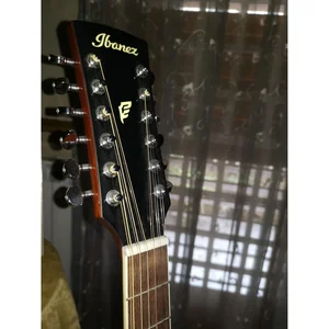 Ibanez PF1512ECE-NT