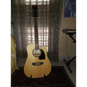Ibanez PF1512ECE-NT