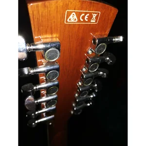 Ibanez PF1512ECE-NT
