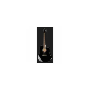 Ibanez PF15ECE-BK