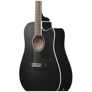Ibanez PF16MWCE WBK