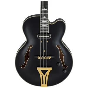 Ibanez PM3C-BKL Pat Metheny