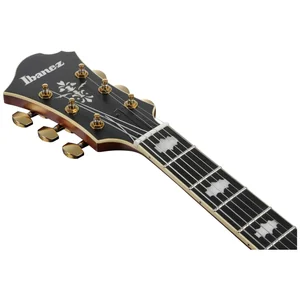 Ibanez PM3C-NAL Pat Metheny