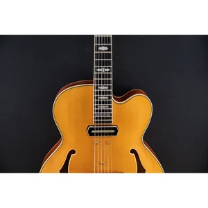 Ibanez PM3C-NAL Pat Metheny