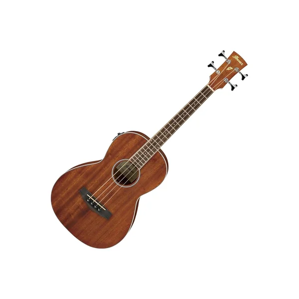 Ibanez PNB14E-OPN Acoustic Bass
