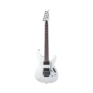 Ibanez PWM20