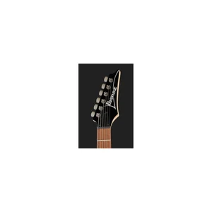 Ibanez RG421-MOL