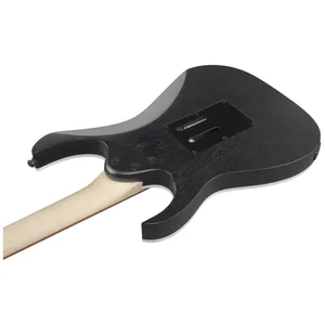 Ibanez RG450B-WK