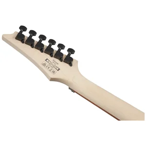 Ibanez RG450B-WK