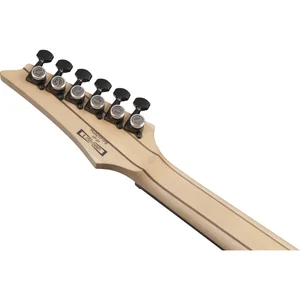 Ibanez RGA21P1PB-DRL