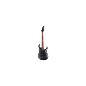 Ibanez RGA42FM-TGF