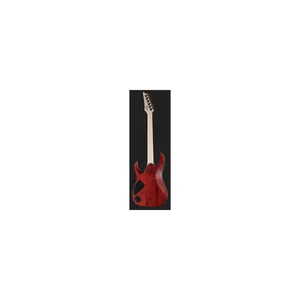 Ibanez RGA42FM-TGF
