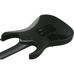 Ibanez RGRB620-BKF