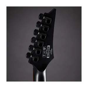 Ibanez RGRT421-WK