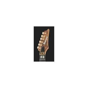 Ibanez RGT1220PB-ABS