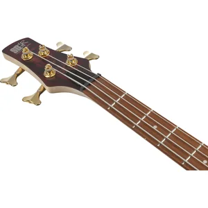 Ibanez SR300EDX-WZM