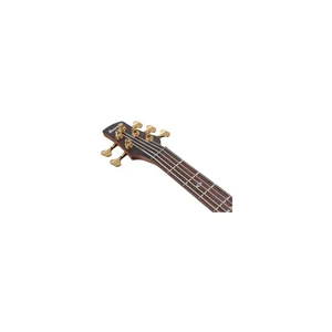 Ibanez SR6605-GFB Prestige
