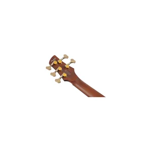 Ibanez SR6605-GFB Prestige
