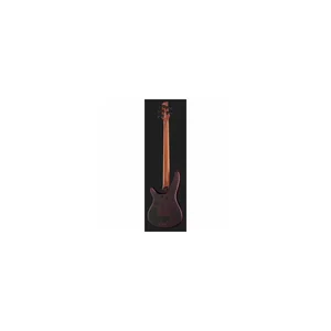 Ibanez SRH505F-NNF Bass Workshop