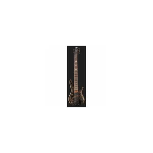 Ibanez SRMS805-DTW Workshop