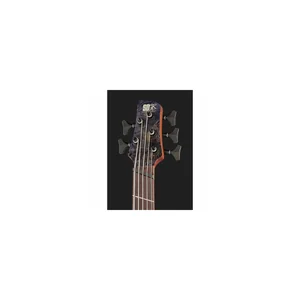 Ibanez SRMS805-DTW Workshop