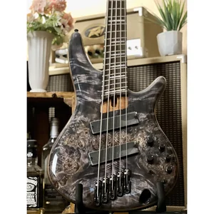 Ibanez SRMS805-DTW Workshop