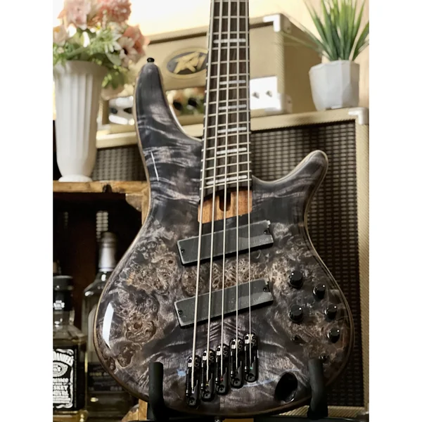 Ibanez SRMS805-DTW Workshop