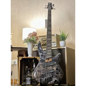 Ibanez SRMS805-DTW Workshop