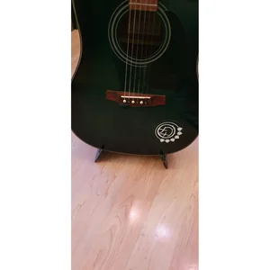 Ibanez ST101