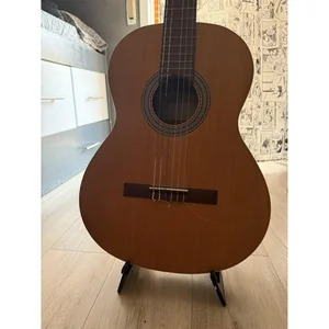 Ibanez ST101