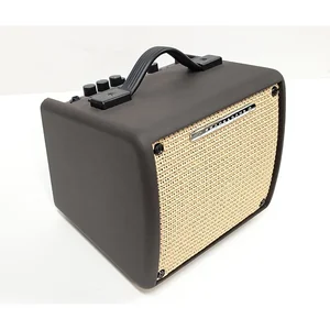 Ibanez T15II Acoustic Combo