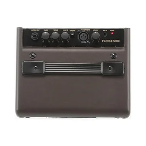 Ibanez T15II Acoustic Combo