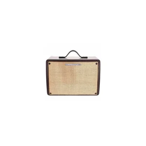 Ibanez T30II Acoustic Combo