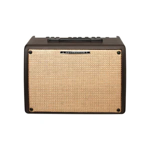 Ibanez T30II Acoustic Combo