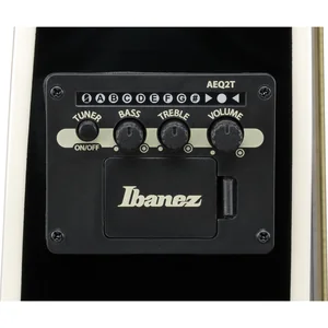Ibanez TCY10PA-BKB