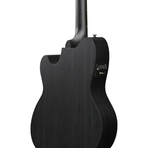 Ibanez TCY621-BOT