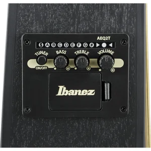 Ibanez TCY621-BOT
