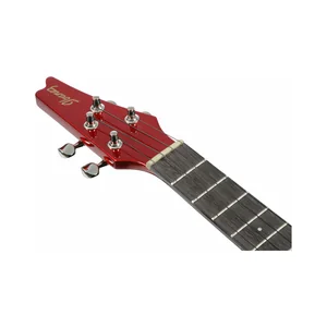Ibanez UICT10-CA