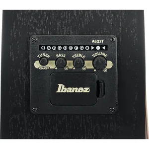 Ibanez VC44CE-WK