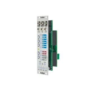 Intellijel Designs Scales