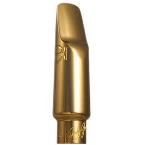 Jody Jazz Alto DV NY 6