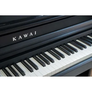 Kawai CA-401 B Set