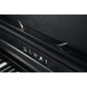 Kawai CA-401 B Set