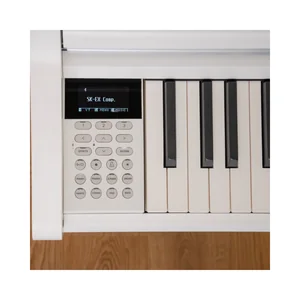 Kawai CA-501 W Set