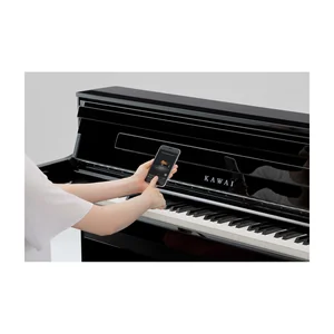 Kawai CA-901 EP Set