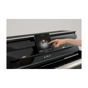 Kawai CA-901 EP